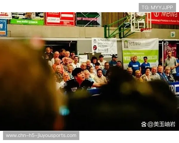 乒乓德甲俱乐部商业困境与创新经营案例分析，国外乒乓球俱乐部发展现状